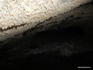 otta Petralia-17-03-2013 10-06-23